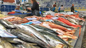 BRIN Fish Vaccine